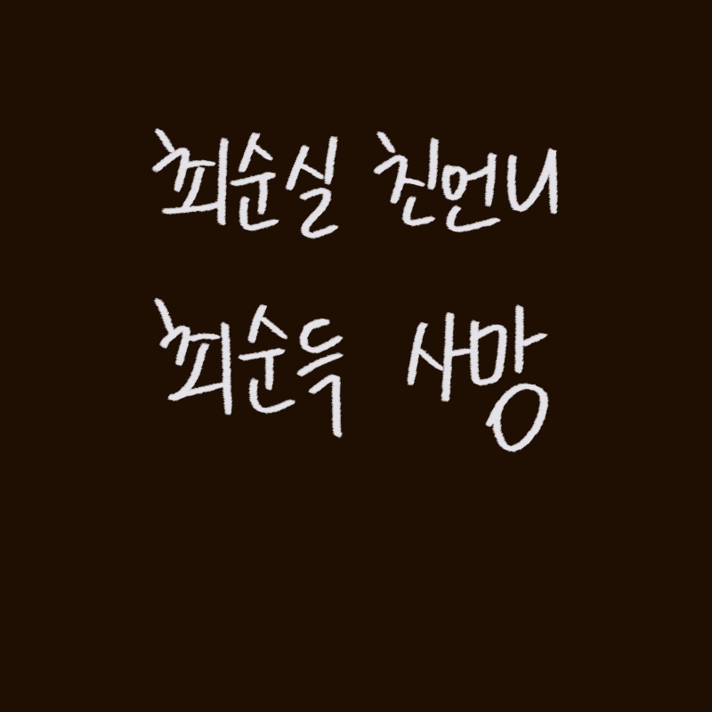 최순득 씨의 사망 소식과 과거 국정농단 사태와의 연관성을 설명하는 woolim의 가이드 일러스트