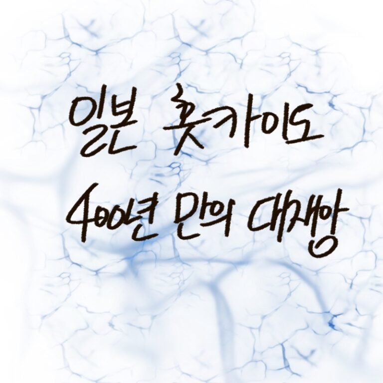 일본 홋카이도 네무로 앞바다의 거대 지진 발생 확률 상향과 연구진의 쓰나미 경고 내용을 설명하는 woolim의 가이드 일러스트