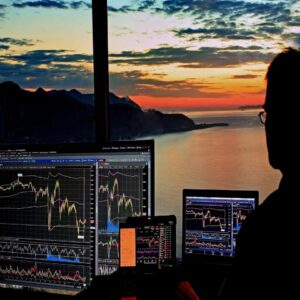 주식 그래프를 바라보는 남자의 모습 실물